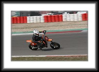 IMG_7008 * 3504 x 2336 * (686KB)